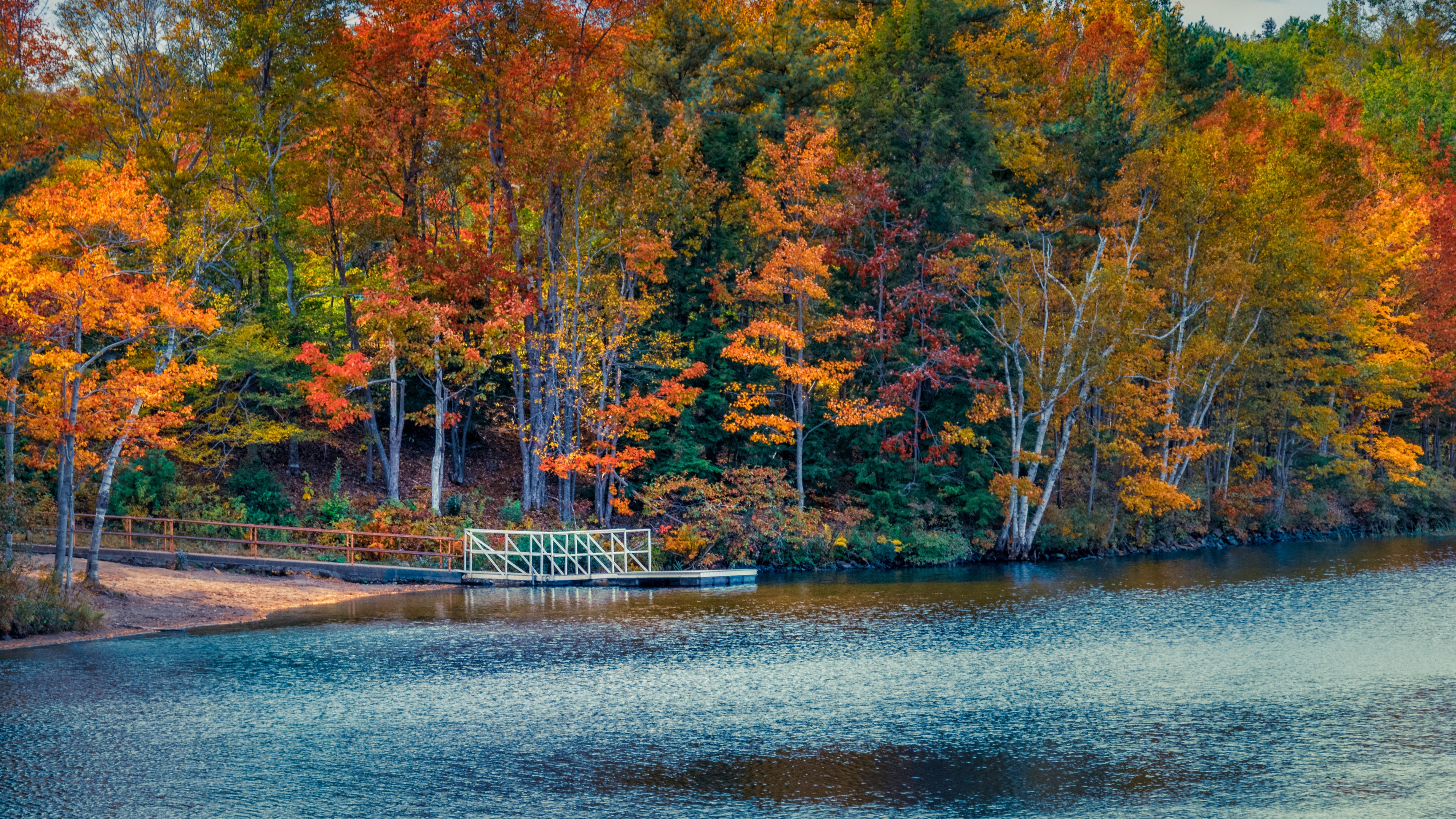 Lake and Leaves in Autumn